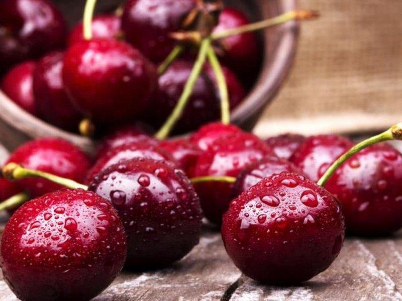 Вишня купить саженцы из питомника в Минусинске