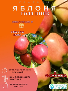 Яблоня Голд Пинк и Гала 2 саженца